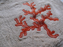 Carica l&#39;immagine nel visualizzatore di Gallery, TELO DOCCIA SPUGNA CORALLO
