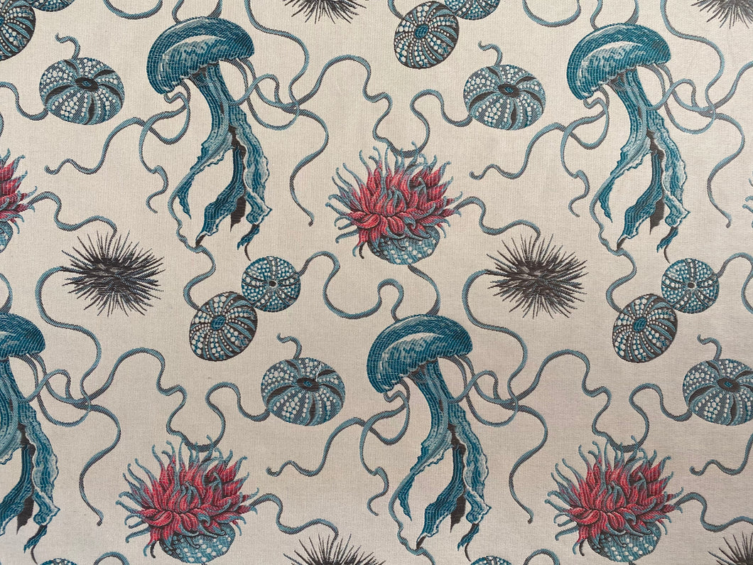 LAMPASSO RICCI E MEDUSE