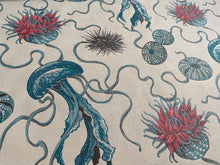 Carica l&#39;immagine nel visualizzatore di Gallery, LAMPASSO RICCI E MEDUSE
